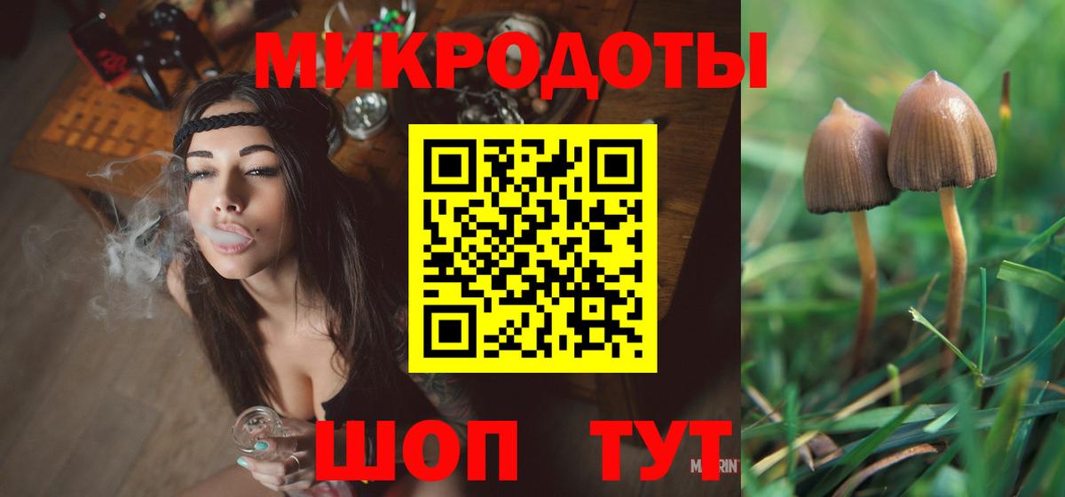 Зеленогорск  Псилоцибиновые грибы ЛСД  Вход с VPN  Галлюциногенные грибы мицелий 